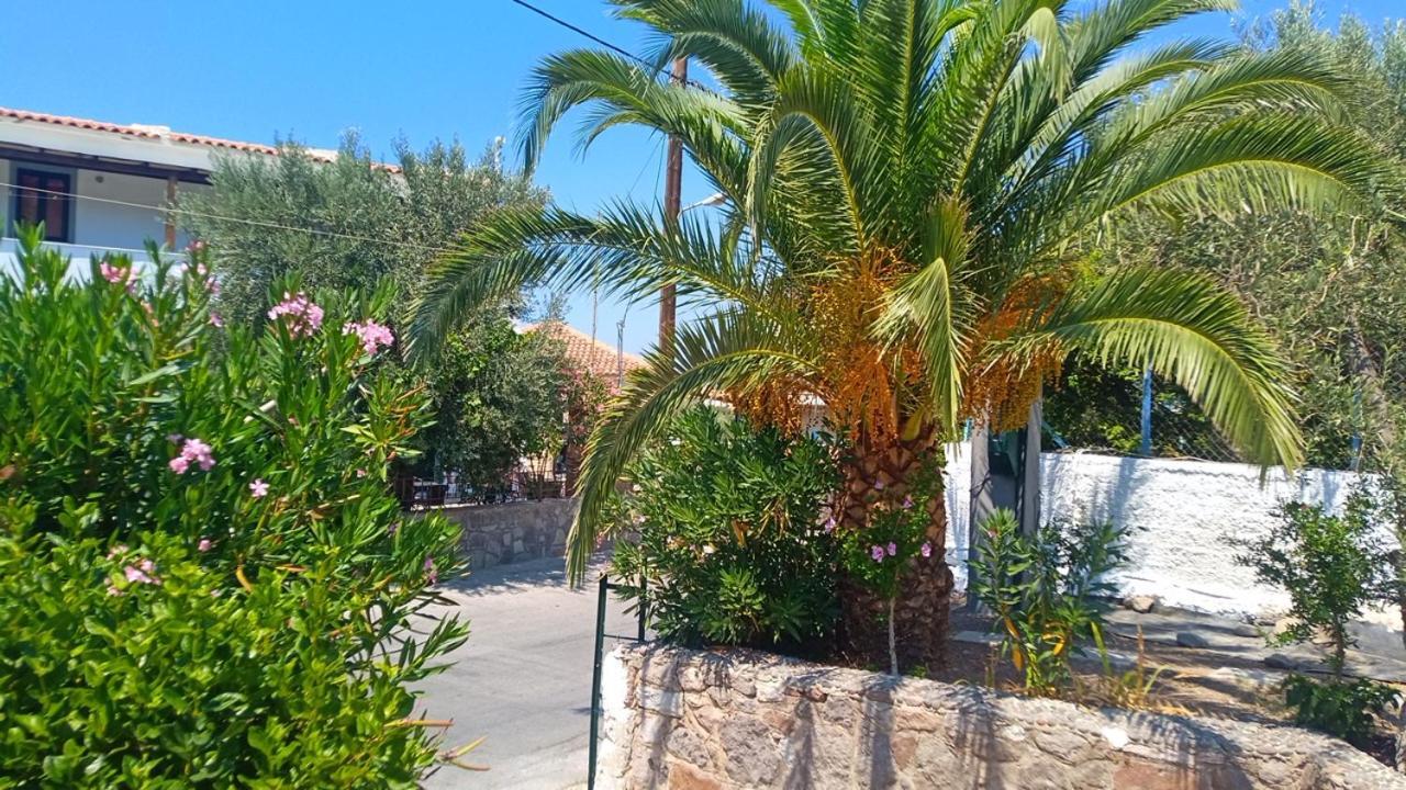 Aparthotel Anessis Cosmos Anaxos Esterno foto