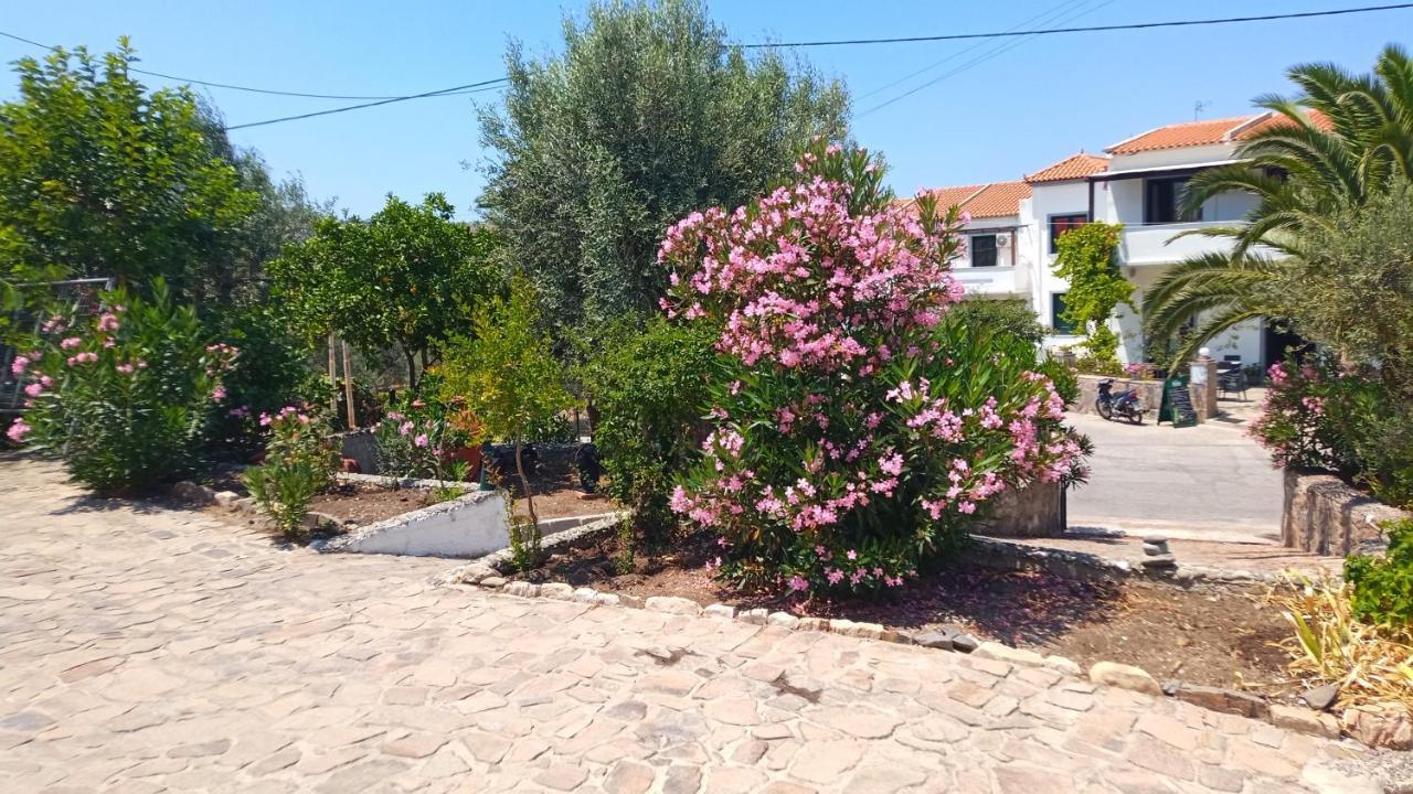 Aparthotel Anessis Cosmos Anaxos Esterno foto